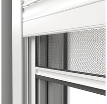 Moustiquaire Windhager EXPERT plissé pour fenêtre sans perçage blanc 100x120 cm