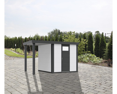 Abri de jardin avec auvent et porte sur sol pavé