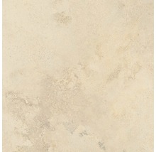 Panneau mural de douche SCHULTE DecoDesign ExpressPlus aspect pierre calcaire 255 x 100 cm EP1901025 604