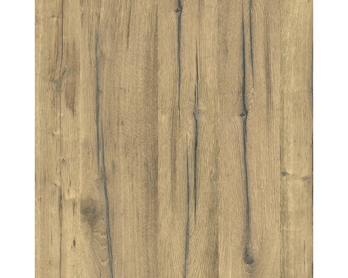 Duschrückwand SCHULTE DecoDesign ExpressPlus Holzoptik Schwarzwaldeiche-hell 255 x 150 cm EP1901525 621 Duschrückwand SCHULTE DecoDesign ExpressPlus Holzoptik Schwarzwaldeiche-hell 255 x 150 cm EP1901525 621