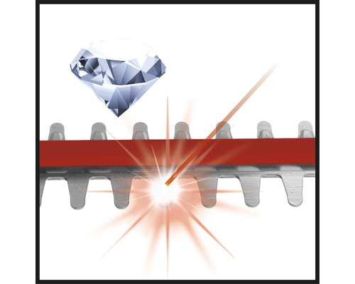 Image symbolique : Taille-haie avec affûtage diamanté