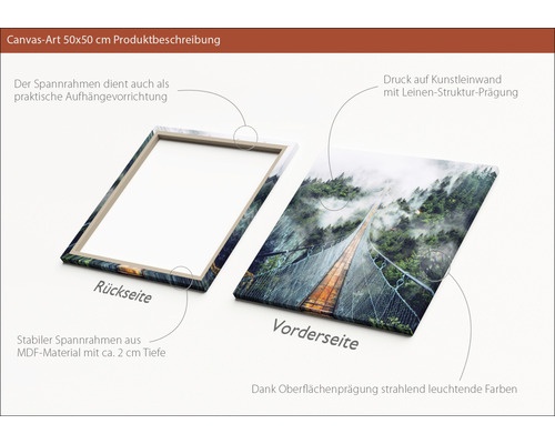 Leinwandbild 50x50 Zentimeter mit MDF Rahmen und Waldmotiv