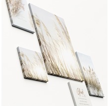 Leinwandbild The variation of nature 5er-Set 100x95 cm
