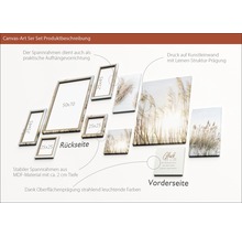 Leinwandbild The variation of nature 5er-Set 100x95 cm