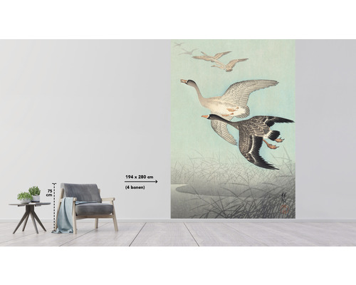 Image murale avec des oies volantes au-dessus d''un lac, dimension 194 x 280 cm