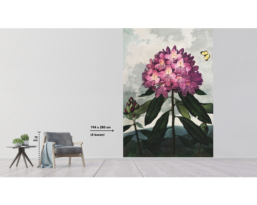 Mur avec papier peint à fleurs avec motif de rhododendron et une taille de 194 x 280 cm
