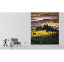Papier peint photo avec paysage toscan et ferme, dimension 243x280 cm