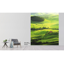 Fototapete mit Landschaftsmotiv einer grünen Hügellandschaft mit Häusern, Format 243 mal 280 Zentimeter