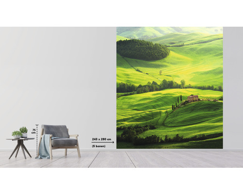 Papier peint photo avec un motif de paysage de collines verdoyantes avec des maisons, format 243 x 280 centimètres