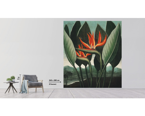 Papier peint photo avec motif floral oiseau de paradis dans une pièce lumineuse