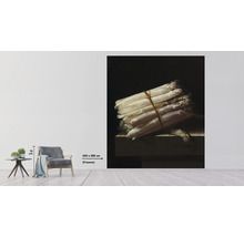 Fototapete Vlies HRBP300040 Adriaen Coorte Stillleben mit Spargelbund 5-tlg. 243 x 280 cm
