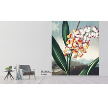 Wandbild mit Blumenmotiv im Interieur mit Stuhl und Tisch