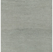 Kunststoffpaneel G x Wall+ Dune Mica Grey 600 x 300 x 5 mm