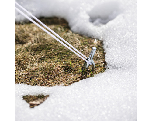 Piquet avec hauban dans la neige sur la pelouse