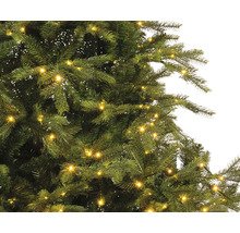 Gros plan d'un sapin de Noël avec éclairage.