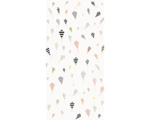 Motif graphique avec des motifs de cerfs-volants.
