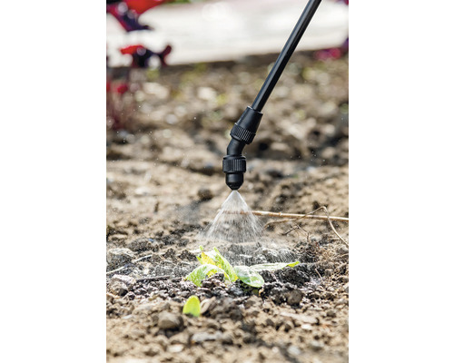 Pflanzenschutz mit Gartenspritze