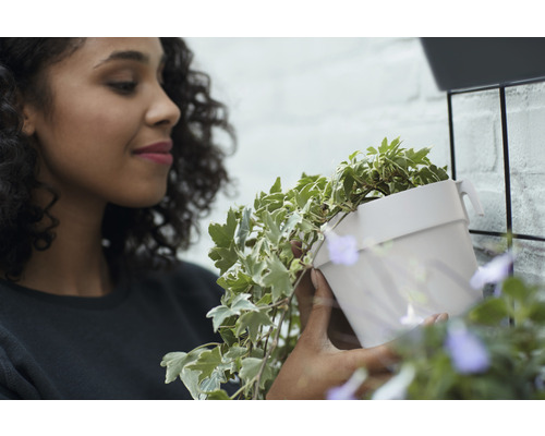 Frau mit einem Topf mit Efeu an einer Wandhalterung