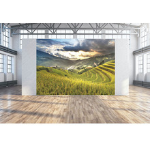 Toile murale Sawah 350x250 cm
