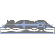 Matelas mousse à mémoire de forme 80 x 50 x 9 cm noir et beige