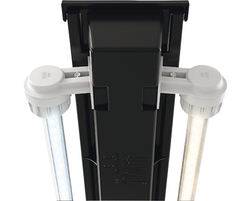 Éclairage d''aquarium avec deux lampes LED