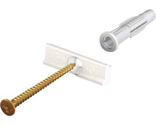 Nageldübel mit Schraube und Montageelement