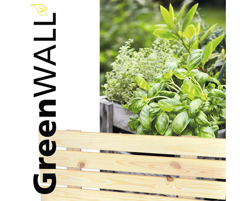 Clôture en bois avec jardin d''herbes aromatiques