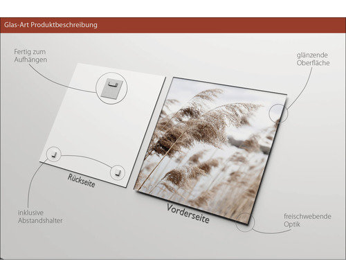 Glasbild mit glänzender Oberfläche, inklusive Abstandshalter und Aufhängung, Rück- und Vorderseite