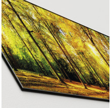 Tableau en verre Sunshine in the forest 50x125 cm-thumb-1