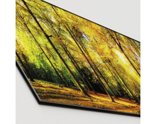 Scène de forêt décorative sur une toile
