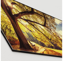 Image murale avec motif de forêt et lumière du soleil