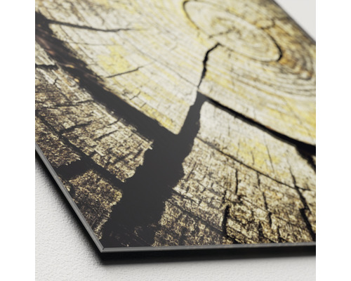 Nahaufnahme eines Wandbildes mit Baumstammmuster