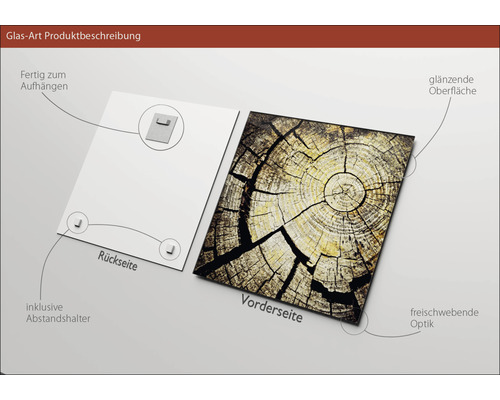 Glasbild mit Baumstammmuster, inklusive Aufhängung und Abstandshalter