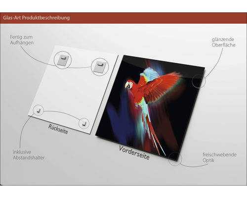 Glasbild mit Motiv eines Papageis, inklusive Aufhängung und Abstandshalter