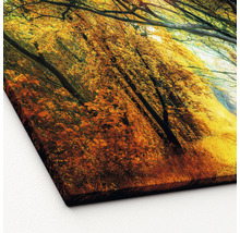 Herbstlicher Waldweg als Leinwandbild