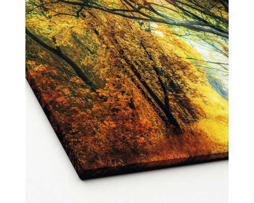 Herbstlicher Waldweg als Leinwandbild