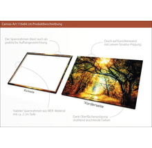 Leinwandbild mit Waldmotiv und MDF Rahmen