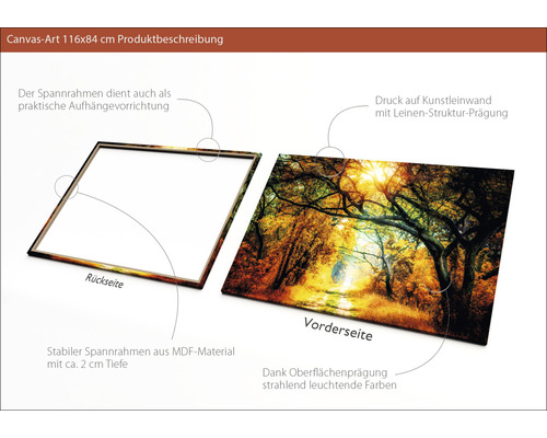 Leinwandbild mit Waldmotiv und MDF Rahmen