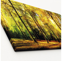 Leinwandbild mit Waldmotiv