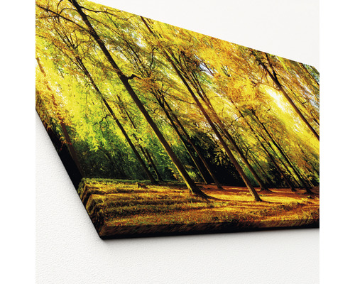 Leinwandbild mit Waldmotiv