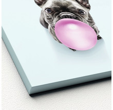 Dekorative Leinwand mit Bulldogge und Kaugummi