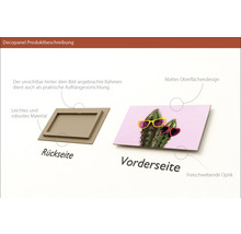 Decopanel Produktbeschreibung mit Rahmenrückseite und Vorderseite mit Kakteen Motiv
