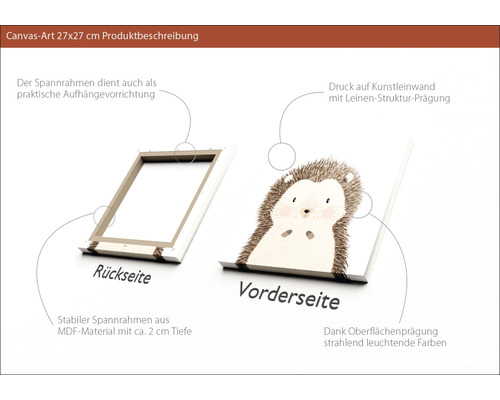 Canvasbild 27x27 Zentimeter mit Igel-Motiv, Rück- und Vorderseite dargestellt
