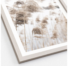 Gerahmtes Bild In The Breeze VI 33x43 cm