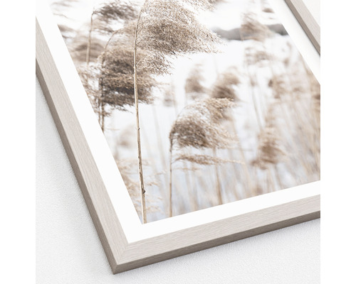Image encadrée avec motif de roseaux