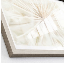 Gerahmtes Bild Dandelion I 33x43 cm