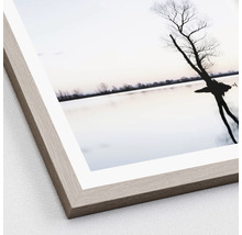 Gerahmtes Bild Tree in a lake 33x33 cm