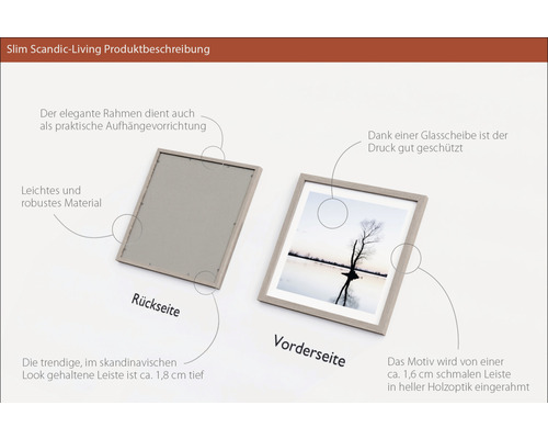Bilderrahmen mit Glasabdeckung und Aufhängevorrichtung