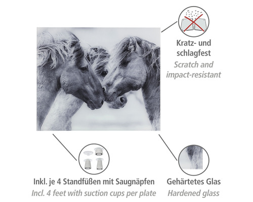 Küchenrückwand aus gehärtetem Glas mit Pferde Motiv, kratz- und schlagfest inklusive Standfüße mit Saugnäpfen