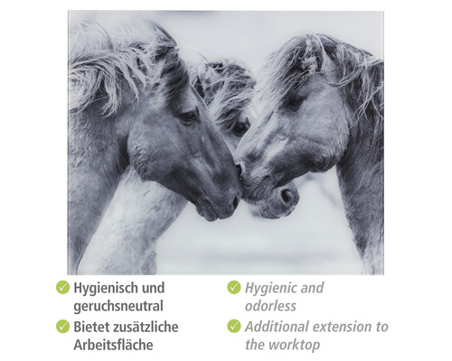 Küchenrückwand mit Pferdemotiv